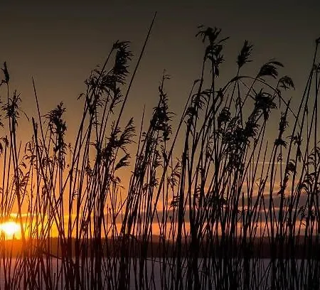 Apartman The Hidden Sea View Sønderborg